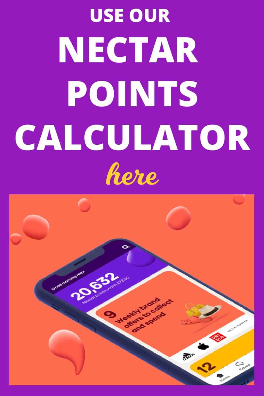 The Best Way To Spend Nectar Point Debt free family