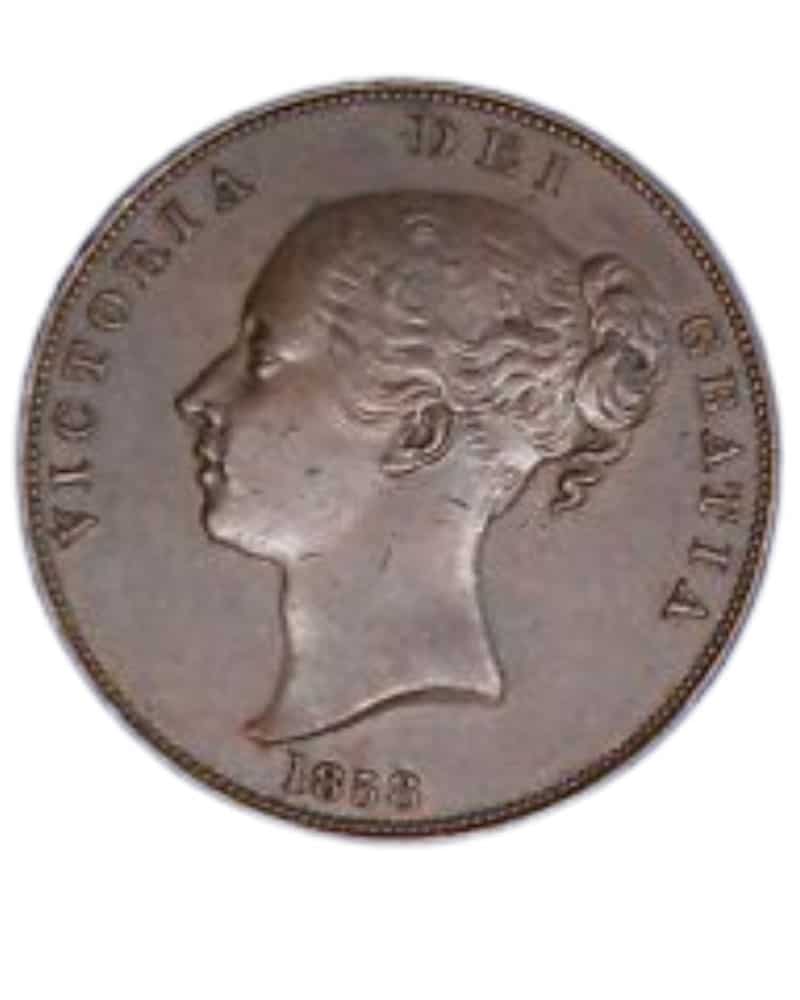 The 1882 Young Head Bronze Penny